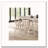 Dining Chair Spindle Back-97518844