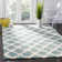 Skyleen Shag Performance Geometric Rug