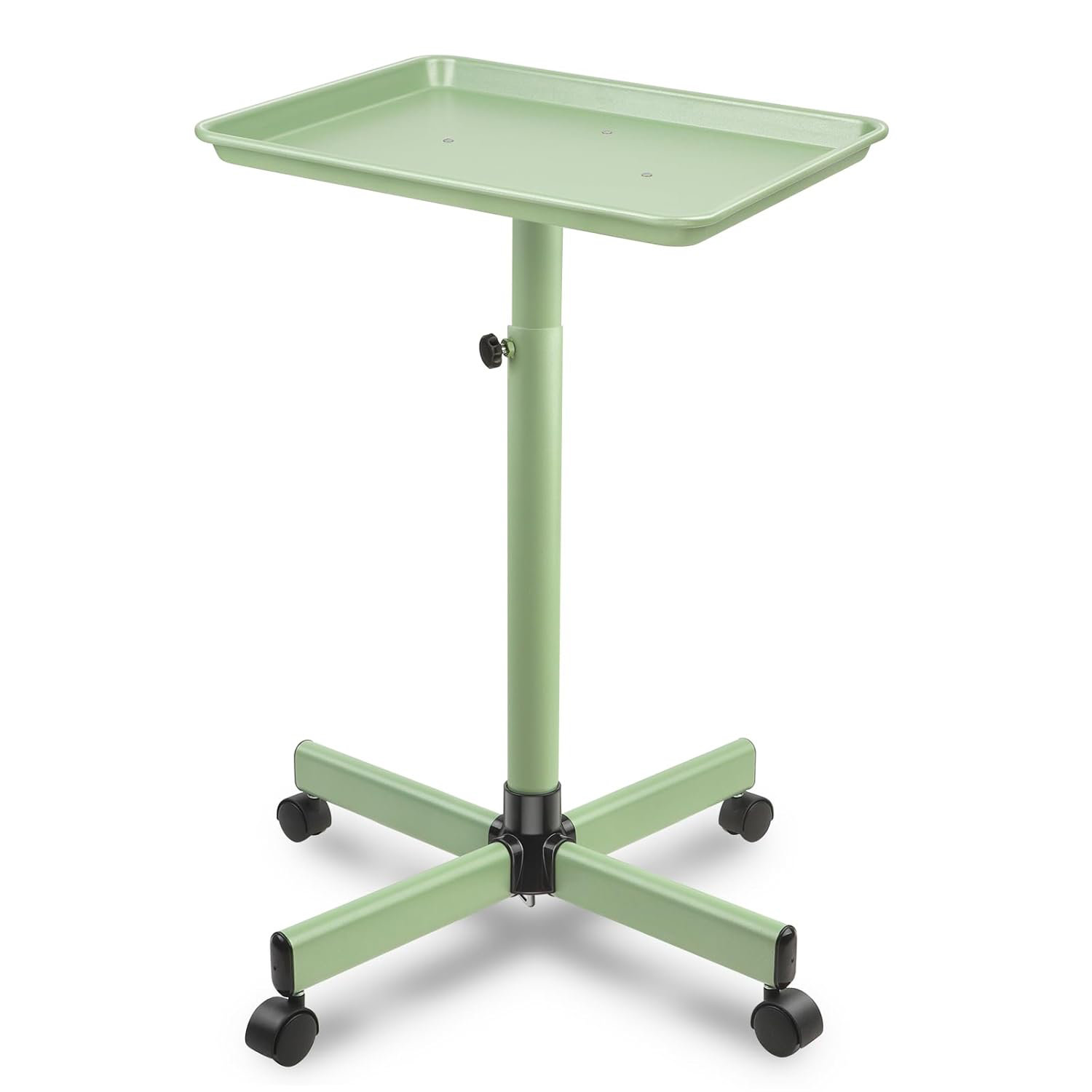 Inbox Zero Salon Tray, Metal Feet Salon Rolling Tray Cart, Salon Tray ...