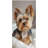 Yorkie Dog Oversized Bath Towels, Highly Absorbent Quick Dry Soft Beach Towel, Sand Free Multipurpose for Beach Pool Bathroom Hotel Picnic 32*63inch