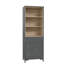 Amettes 180.7cm H x 63.2cm W Standard Bookcase