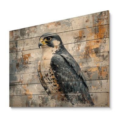 Portrait de faucon pèlerin Hauk II - faucon imprimé sur bois - sur bois de pin naturel