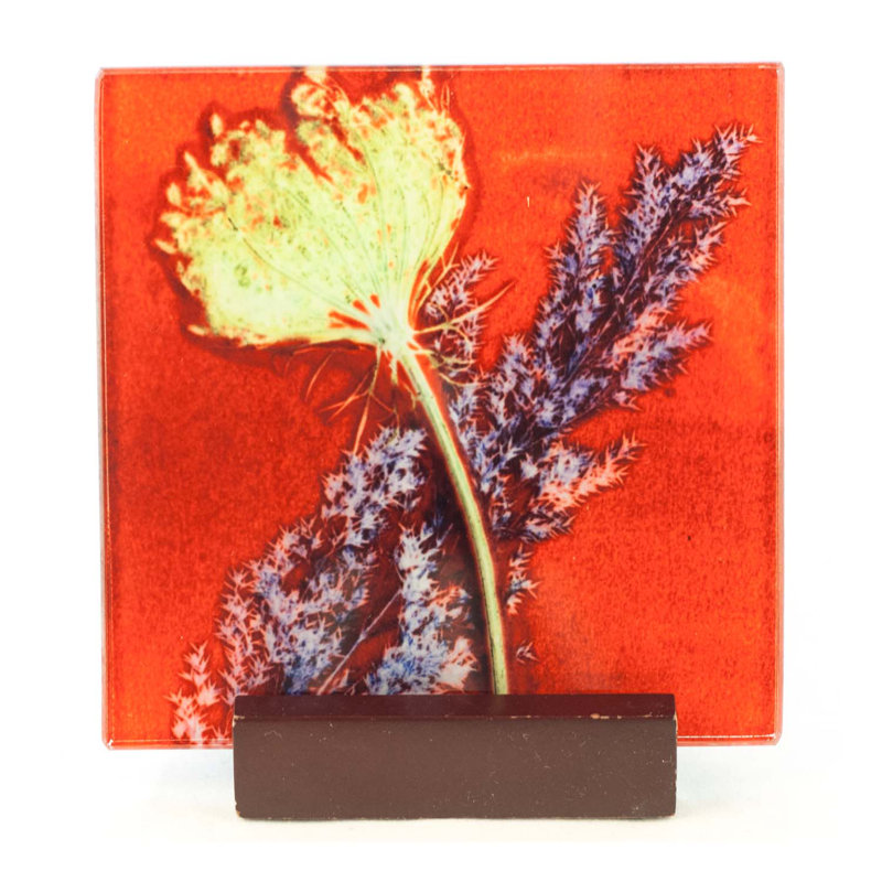 Glass Square 1 Piece Coaster, Red
