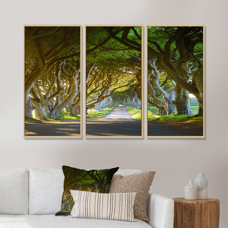 Avenue of Beech Trees - 3 pièces, reproduction sur toile, H 20 po x l 36 po x P 1 po, Cadre brun
