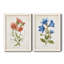 «Botanical I», ensemble de 2 reproductions d'art-271774487-271774482-271774480