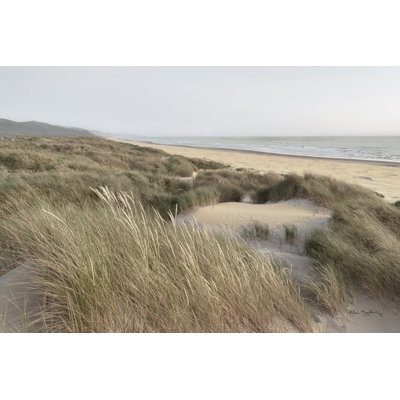 Oregon Dunes by Alan Majchrowicz - Wrapped Canvas Print