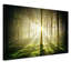 Forest Dark - Print on Canvas-2002762147-2002762159
