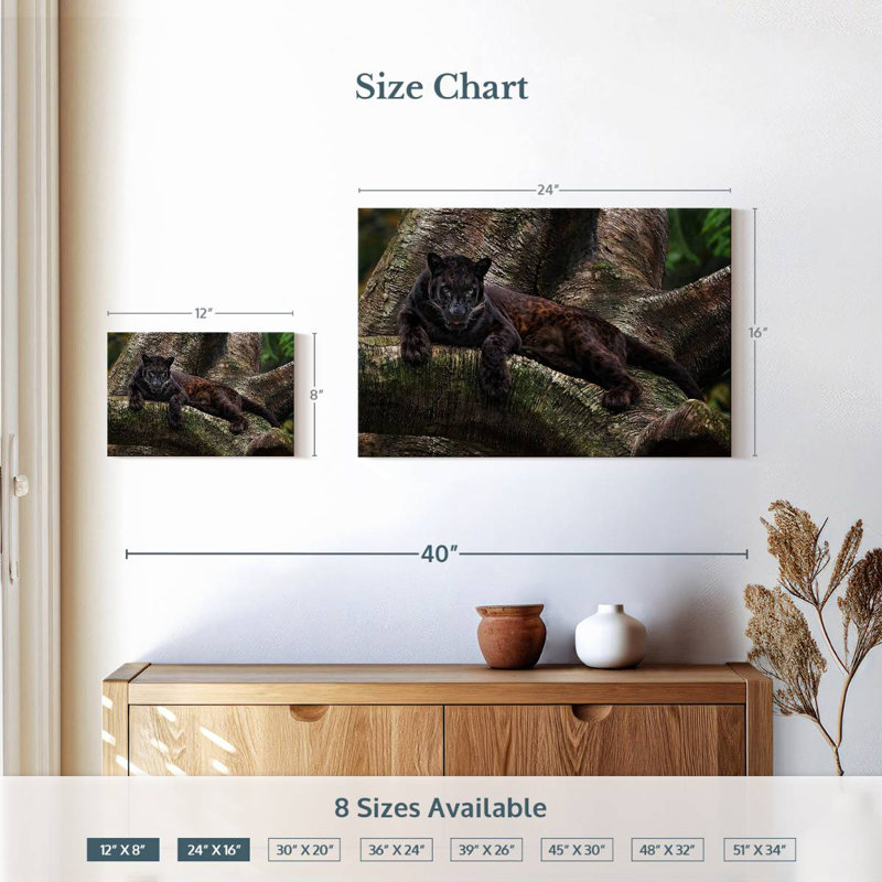 Brampt Mysterious Black Panther, 16" H x 24" W