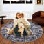 Round Michie 120cm X 120cm Area Rug