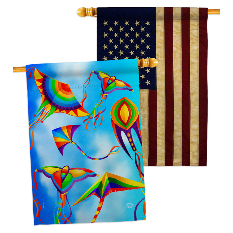 Drapeau de maison 40 x 28 po Kite In Sky