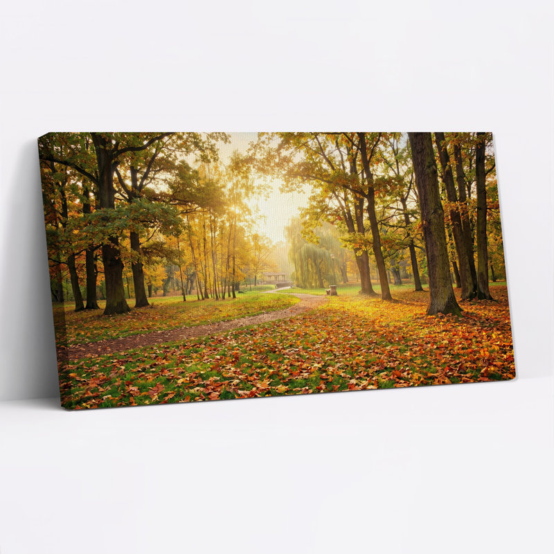 Art mural sur toile Sunlit Autumn Park, 40“W x 20”H