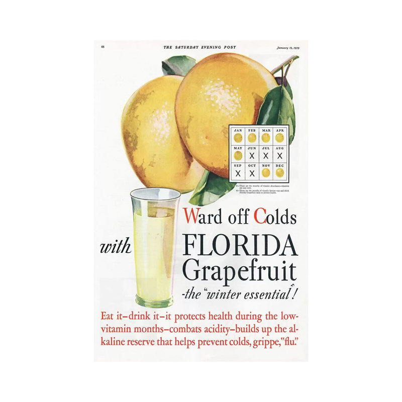 1920s Florida Grapefruit Magazine Advert by The Advertising Archives - Wrapped Canvas Gallery-Wrapped Canvas Giclée