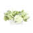 Blanc/vert est en rupture de stock