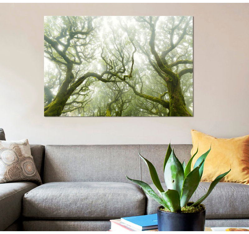 « green fire », reproduction de photo sur toile, H 12 po x l 18 po x P 1,5 po, Pas de tapis, Toile tendue