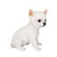 Polyresin Garden Statue-364149139
