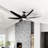 Ceiling Fan with LED Lights