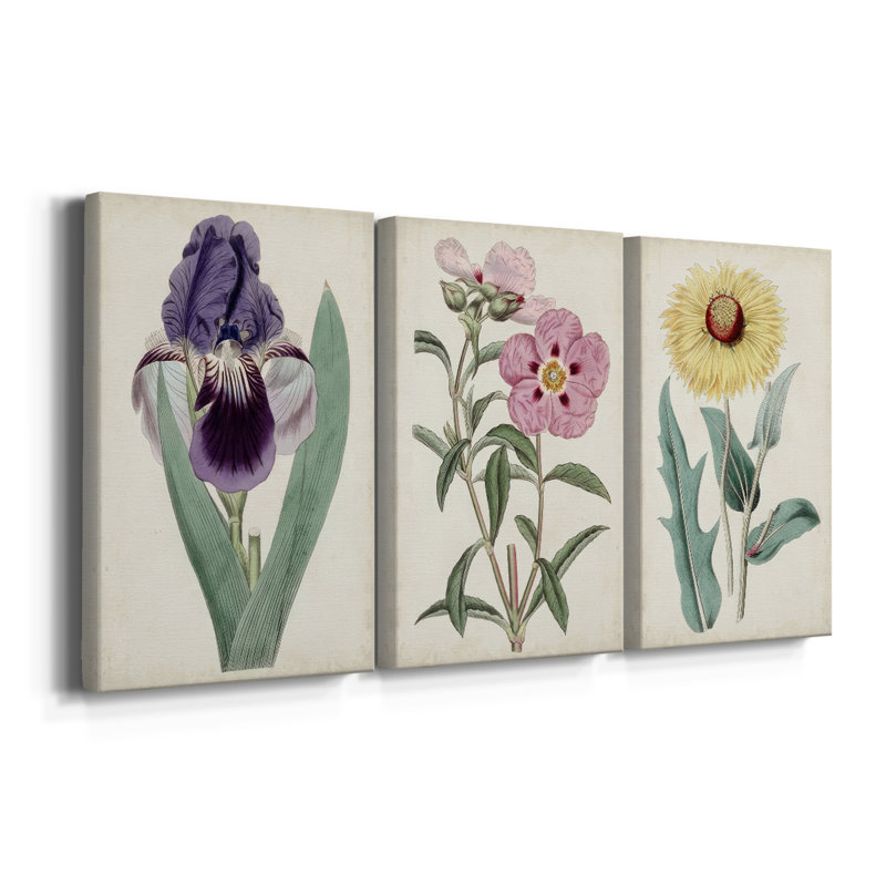 Garden Gems VII - Toile tendue avec châssis sur mesure - 3 pièces, H 27 po x l 54 po