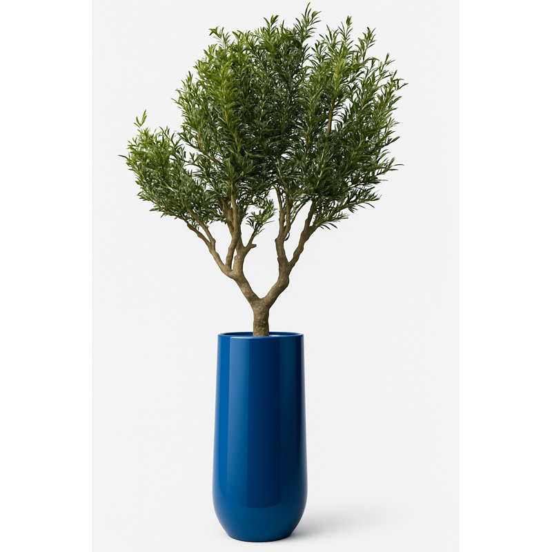 Artificial Olive Tree In Matte Black St. Tropez Planter, Blue