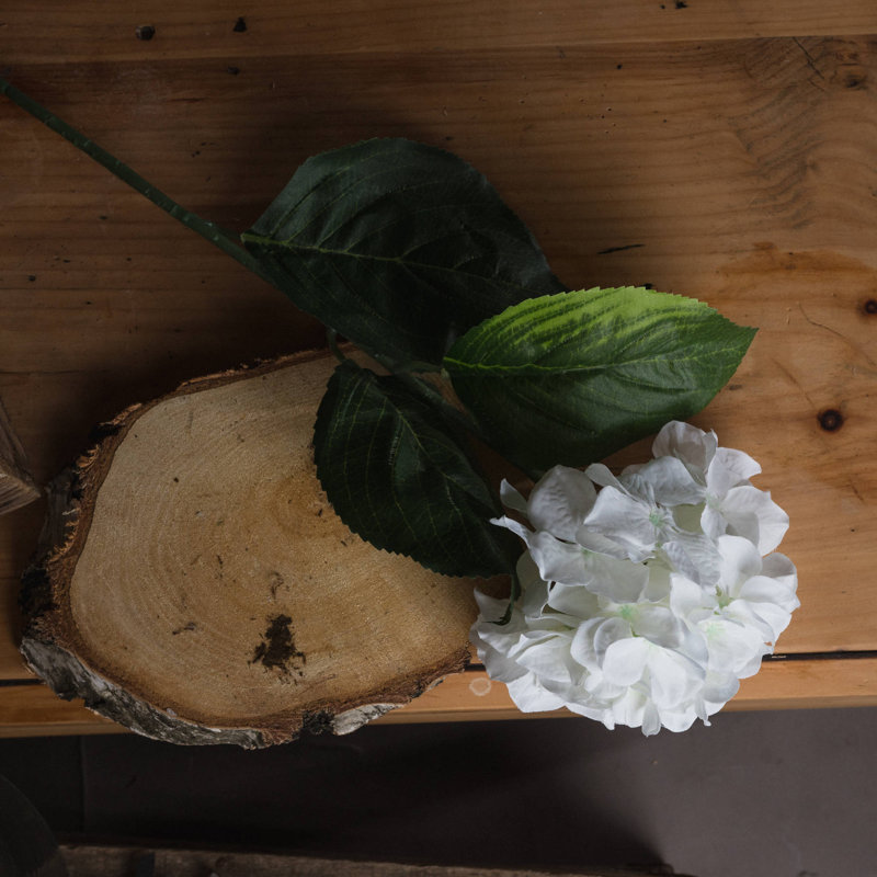 Hydrangea Arrangement