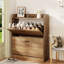 Armoire de rangement pour chaussures 16 paires, unité de rangement pour chaussures de ferme avec 2 tiroirs rabattables