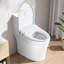 Siège de toilette de bidet ajustable et chauffant avec poignée latérale, nettoyage de nuit et automatique des buses - Nettoyage du poteau, fonctions de massage féminin, réglage précis de la position par télécommande, intelligent