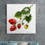 «Strawberry Study II», reproduction d'art sur toile tendue-93249944