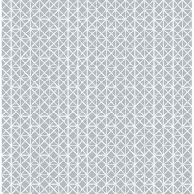 Rouleau de papier peint L 33 pi x l 20,5 po