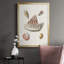Pastel Knorr Shells VII, reproduction encadrée de qualité supérieure - prête à être accrochée-88286385-88286389