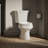 Wellworth 1.6 GPF Round Two-Piece Toilet (Seat Not Included)-10397126-101431820