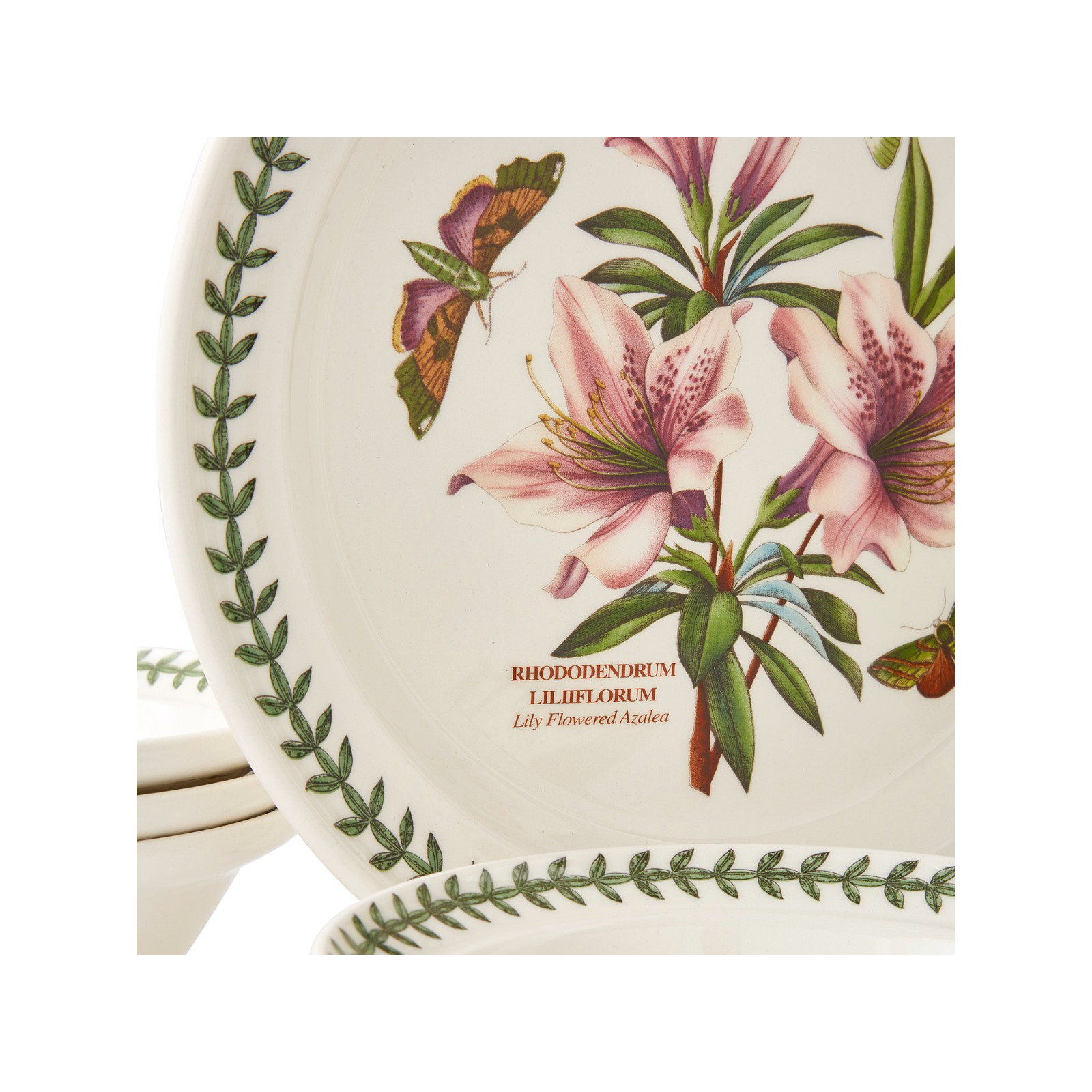 Portmeirion Botanic Garden 12-Pc Set