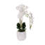 Real Touch Phalaenopsis Orchids in White Dimensional Pot-1195572953