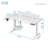 Adjustable Standing Desk With Laminate-125544589-88086878