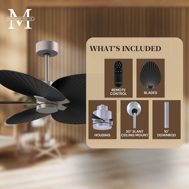 Alessandra Tropical - Five Blade Ceiling Fan - Matte White Finish - Matte White Blades, Brushed Nickel, Matte Black