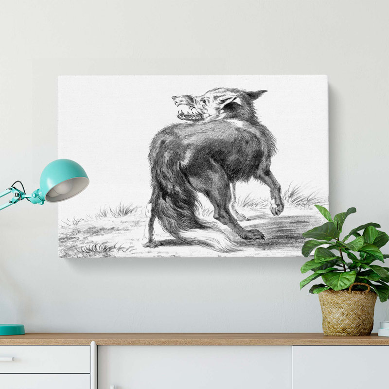 Sketch Of A Fox by Jean Bernard - Wrapped Canvas Print, 50cm H x 76cm W x 3cm D