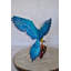 Ewel Colourful Parrot Riding a Tricycle Statue