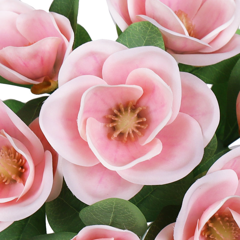 Magnolia, Rose