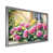 Single Picture Framed Print selected