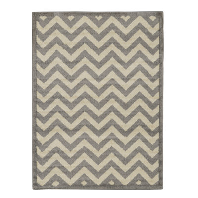 Chevron Indoor Rug