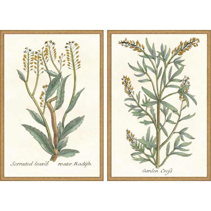 Botanical Plants III Set by Giclee Studio