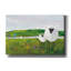 «Sheep in the Meadow» par Phyllis Adams, art mural sur toile-674008867