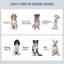 Support à bol moyen pour chien, surélevé, gris, avec 2 bols en acier inoxydable, facilite la station d'alimentation pour animaux