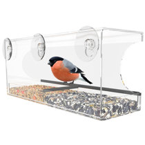 Mangeoire à oiseaux avec grandes ventouses puissantes, mangeoire pour  oiseaux sauvages en acrylique durable pour l'extérieur, plateaux de graines