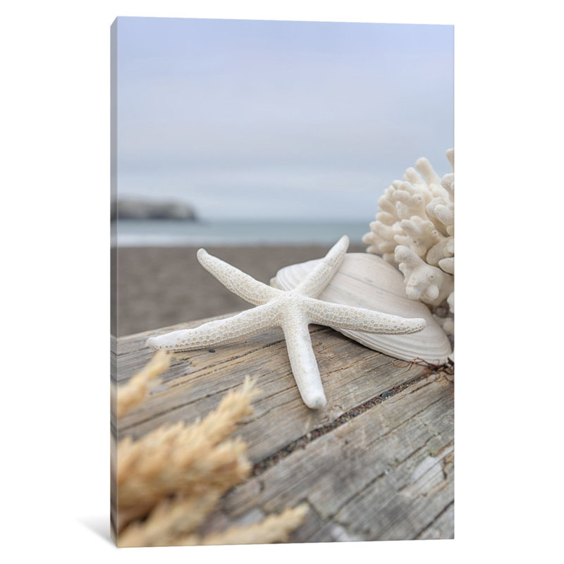 «Crescent Beach Shells XIII», reproduction de photo sur toile, H 26 po x l 18 po x P 1,5 po, Toile tendue, Pas de tapis