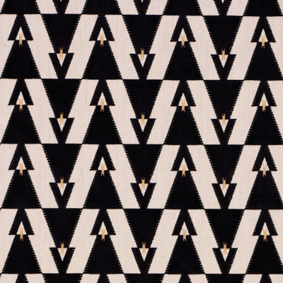 Schumacher X A Rum Fellow Kalido Fabric