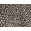 Himalayan One-of-a-Kind 5'9" X 8'6" Area Rug