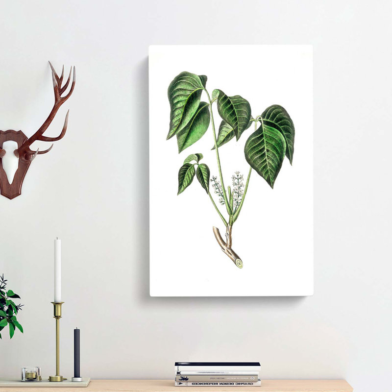 Poison Ivy Illustration - Wrapped Canvas, 76cm H x 50cm W x 3cm D