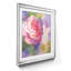 Margot's Rose I by J Paul - Single Picture Frame Painting-897531748-897531749