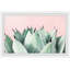 Abdirazaq Sweet Succulents - impression sur papier-820391090-811340879