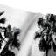 Rideau de douche simple palm trees