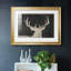 Brow Tine Deer II, impression sur papier encadrée-190255957-190255956
